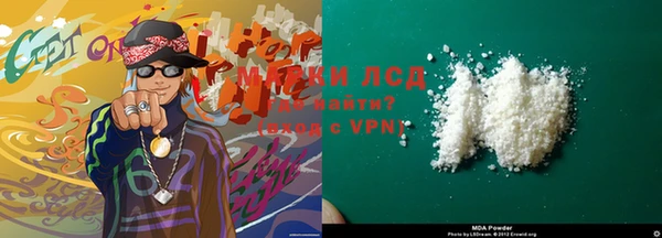 прущие грибы Алзамай
