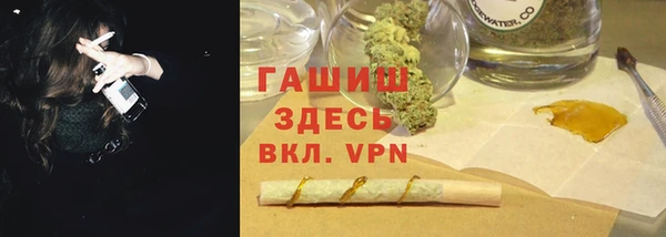 прущие грибы Алзамай