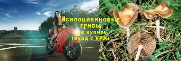прущая мука Абдулино